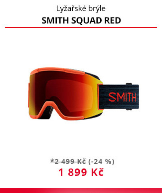 Brýle Smith Squad 