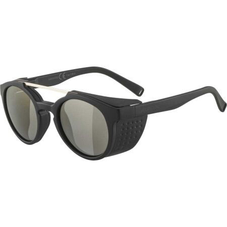 Alpina Sports GLACE - Sluneční brýle