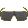 Sluneční brýle - Alpina Sports BONFIRE - 4