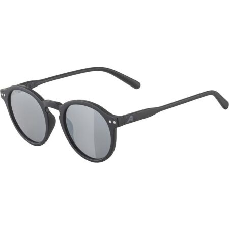 Alpina Sports SNEEK - Sluneční brýle