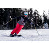 Dámská lyžařská bunda - Hannah MONIQUE - 10